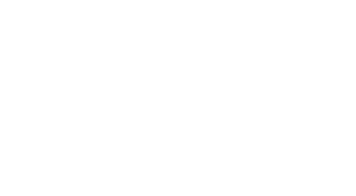 wiisdesign.nl
